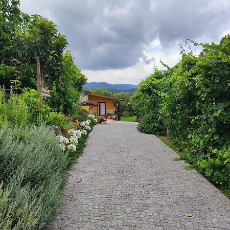 Vila Casa Matreiro Prozelo Exteriér fotografie