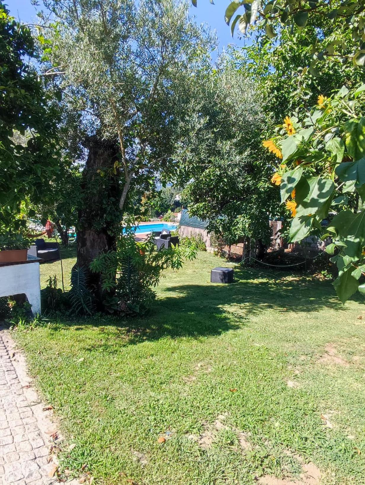 Vila Casa Matreiro Prozelo Exteriér fotografie