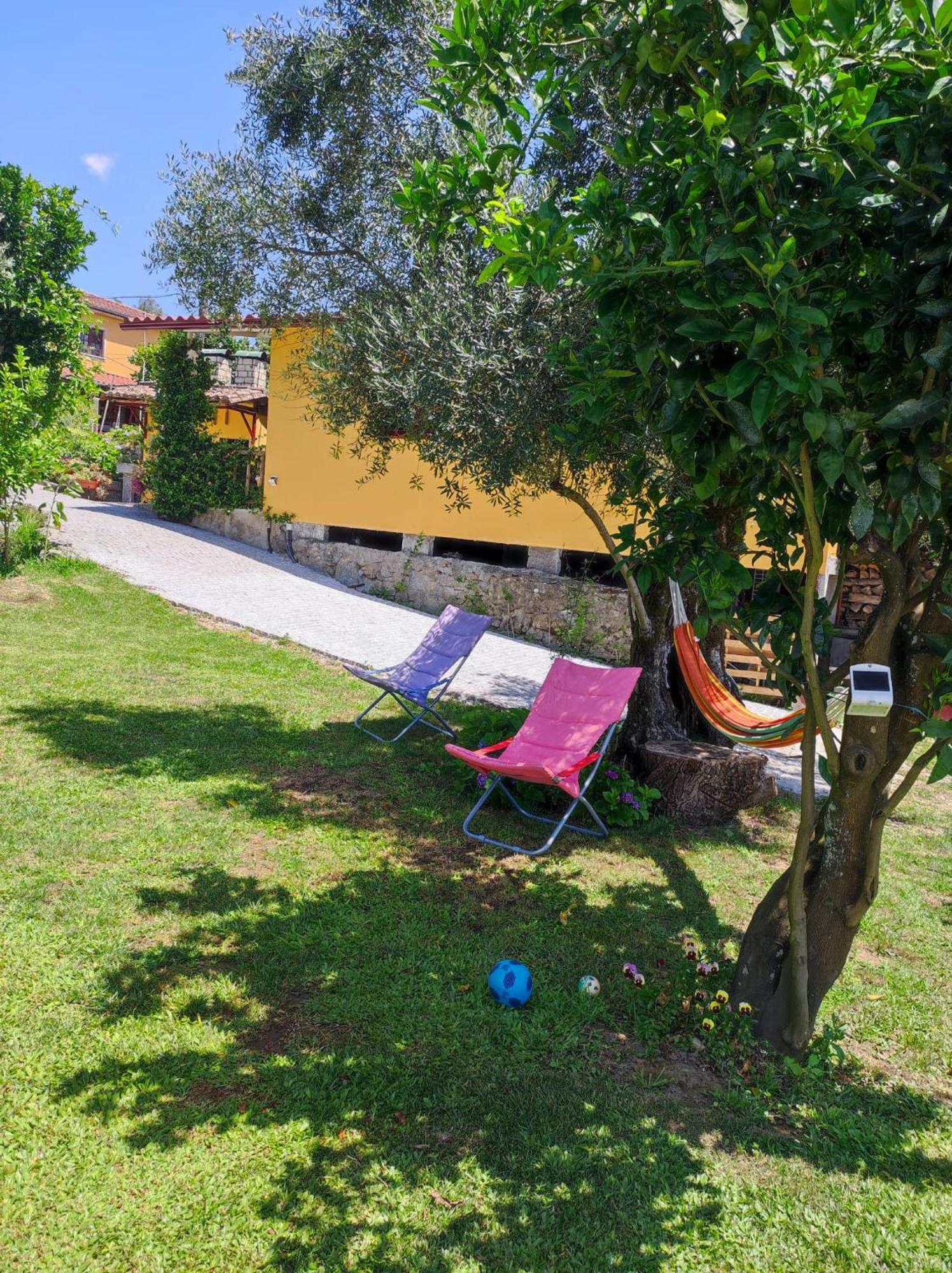 Vila Casa Matreiro Prozelo Exteriér fotografie